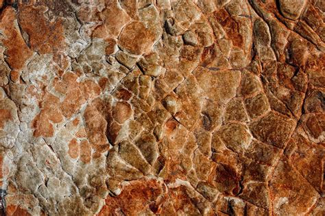 Textura De Piedra De Roca Naranja Aislada Y Gran Colección De Fondo De