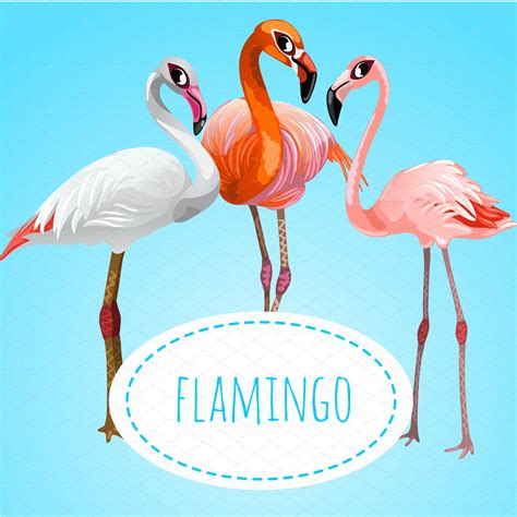 Three Beautiful Flamingos ~ Illustrations ~ Creative Market