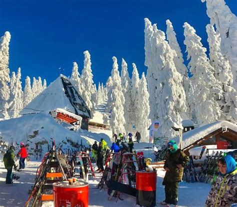 Poiana Brasov Ski Resort Guide Snow