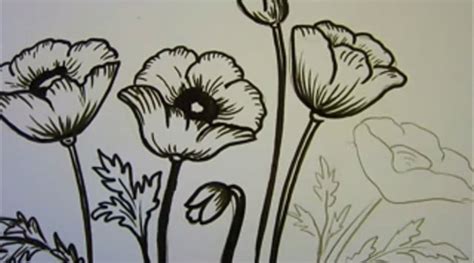 Gli artisti spesso raffigurano fiori diversi nei loro quindi, hai imparato a disegnare magnificamente fiori a matita. Disegnare dipingere papaveri - I consigli, i tutorial ...