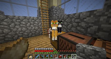Minecraft Cats Sit On Chests