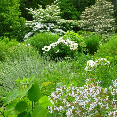 We did not find results for: Weißer Garten