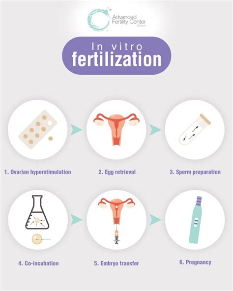 In Vitro Fertility Center Fertility Assisted Reproduction