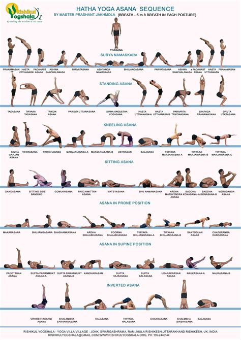 Quick Hatha Yoga Poses Pictures Overview Of A Vinyasa Yoga Sequence Where Each Individual Pose