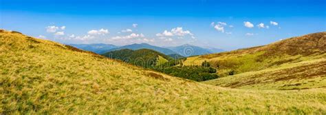 Hillside Panorama In Mountains Stock Photo Image Of Outdoor Summer