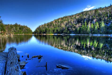 Photo Of River And Forest Lac Spruce Hd Wallpaper Wallpaper Flare