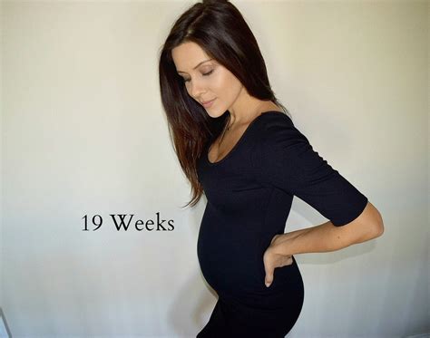 Baby Bump Update 19 Weeks Andee Layne