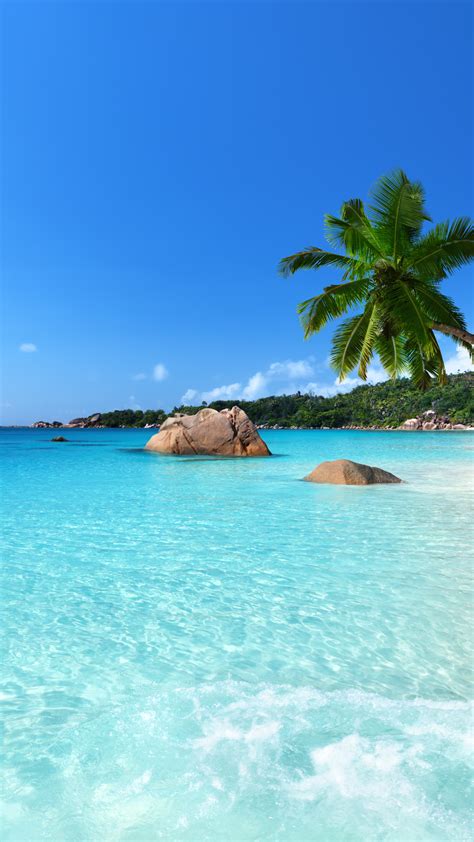 Wallpaper Anse Lazio Praslin Island Seychelles Best Beaches Of 2016