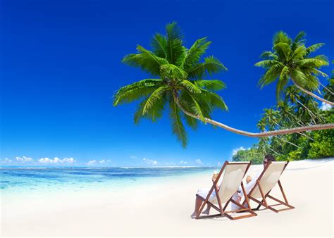 Tropical Paradise Beach Coast Sea Blue Emerald Ocean Palm