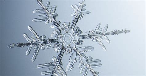 These Beautiful Snowflake Photos Were Actually Captured Using A