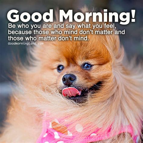 Have A Good Day Dog Meme