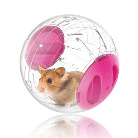 Hamster Ball Alchetron The Free Social Encyclopedia