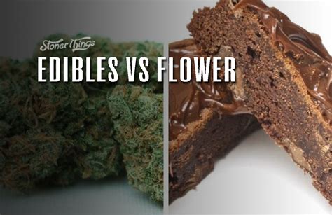 Edibles Vs Flower What Are The Key Differences Stoner Things