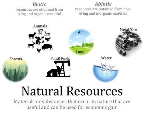 Examples Of Natural Resources And Their Uses