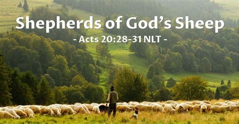 Shepherds Of Gods Sheep — Acts 2028 31 Unstoppable