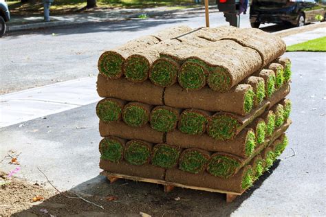 How much does a pallet of sod weigh? 2020 Sod Installation Costs | Prices To Lay Sod Per Square ...