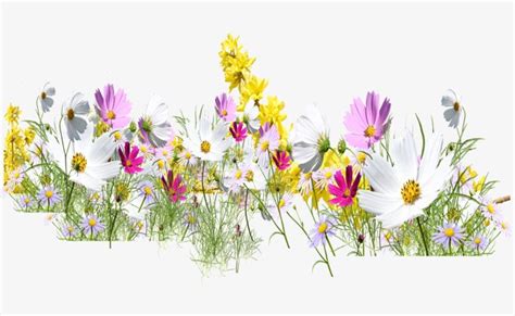 Free Wildflower Clipart 10 Free Cliparts Download Images On