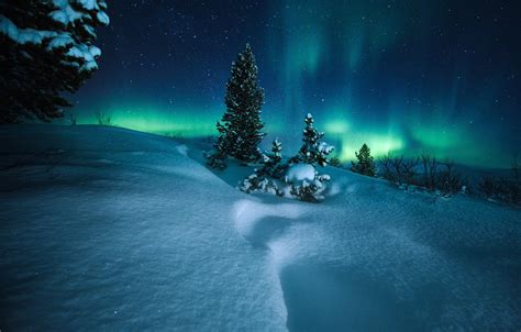 Wallpaper Winter Snow Trees Night Northern Lights Norway The Snow