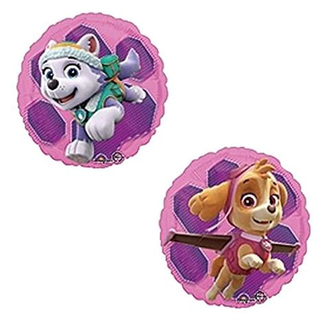 Girl Pups Paw Patrol Skye And Everest 5th Birthday Party Pack 52pc