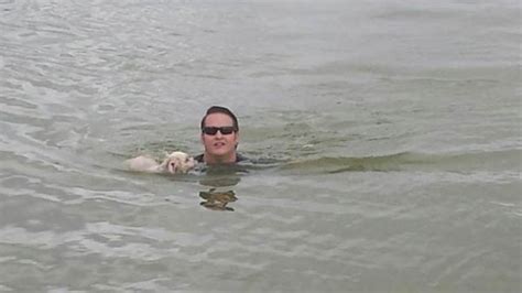 Officer Jumps Into Water To Save Drowning Dog Life With Dogs