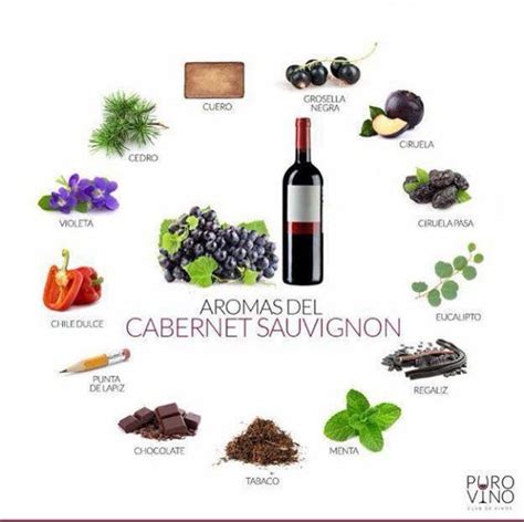 Aromas Del Cabernet Sauvignon Cepas De Vino Vinos Y Quesos