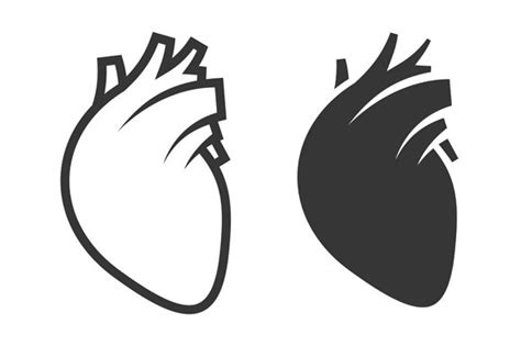 Human Heart Icon ~ Icons ~ Creative Market