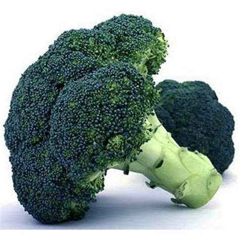 Broccoli Waltham 29 Great Heirloom Vegetable 2500 Seeds