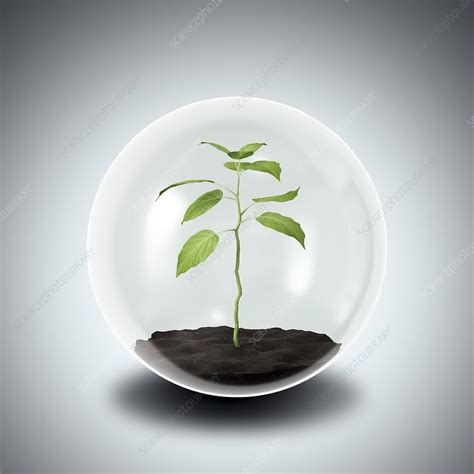 Environmental Protection Artwork Stock Image F0063815 Science