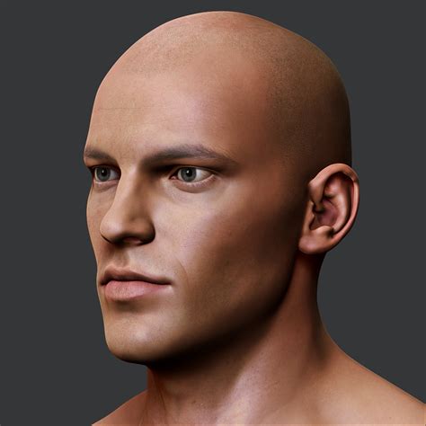 Realistic Male Head 3d Model 199 Max Ma Ztl Obj Fbx Free3d