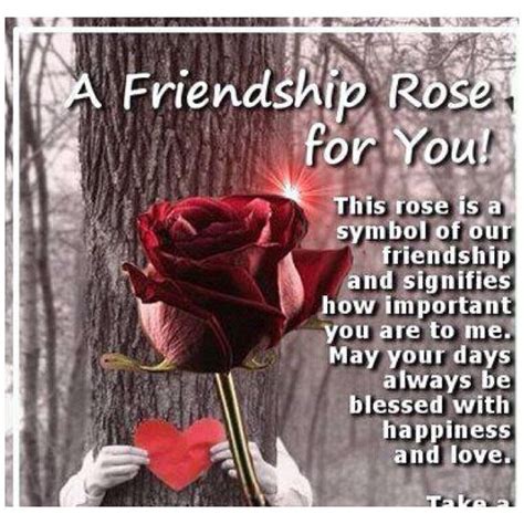 Special Friendship Quotes Friendship Flowers Special Friend Quotes