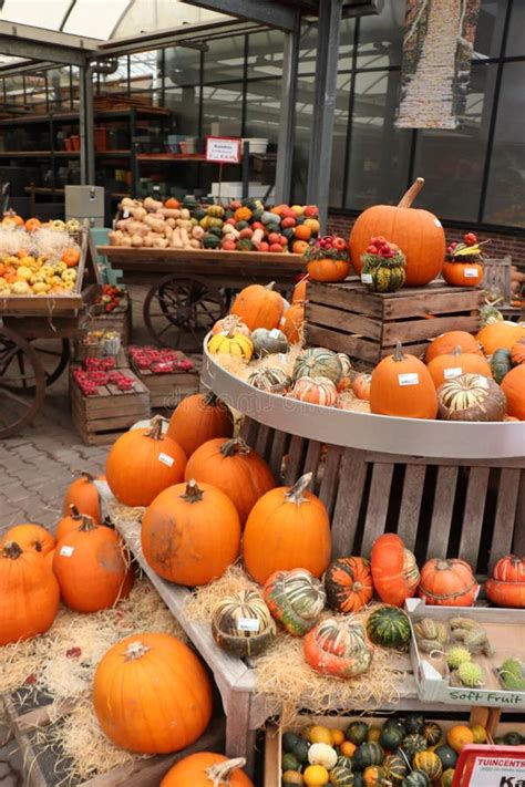 Zwaanshoek The Netherlands October 26th 2018 Autumn Decorations