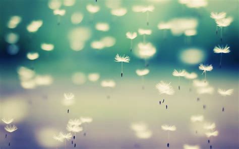 Maybe you would like to learn more about one of these? Cute Desktop Wallpapers - Wallpaper Cave