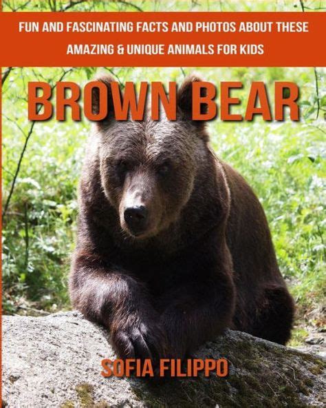 Brown Bear Fun And Fascinating Facts And Photos About These Amazing
