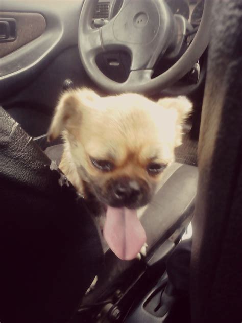 Simple Science: How to Make a Volcano with Kids