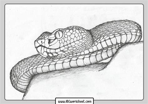 Abcmouse.com has been visited by 100k+ users in the past month Snakes Coloring Pages