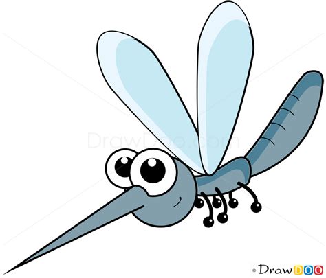 How To Draw Mosquito Insects