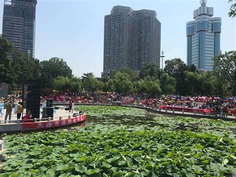 Labor Park Dalian What To Know Before You Go Tripadvisor