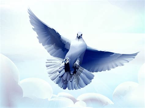 Painting Of Flying Pigeon Hd Wallpaper Wallpaper Flare