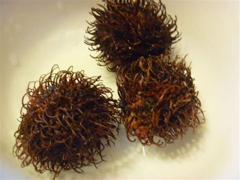 The outside of the fruit is a hard spiky shell. My Homemade Iowa Life: Tropical fruits