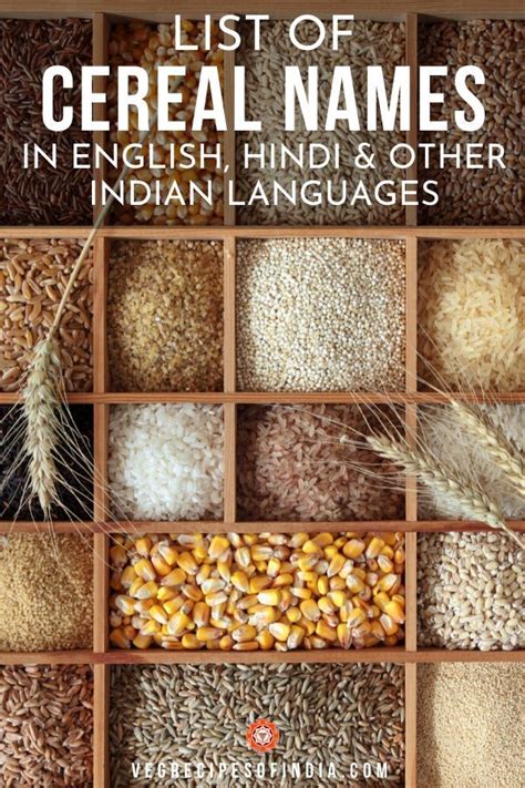 Cereals Names Names Of Grains In English Hindi Tamil Cereals Zohal