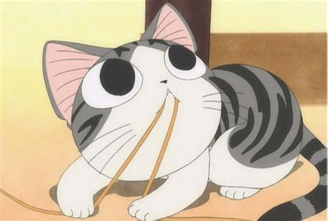 A Cat Sitting On The Ground With Chopsticks In Its Mouth And Eyes