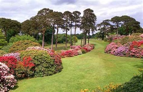 Gardens At Muckross House In Killarney National Park County Kerry