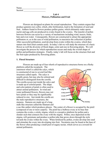 Effect on flowering, pollination, fruit set greater than 32° c (90° ) day temp. Flowers, Pollination and Fruit
