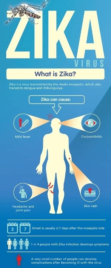 Zika Virus Transmission Pathogenesis Symptoms And Laboratory Diagnosis Microbeonline