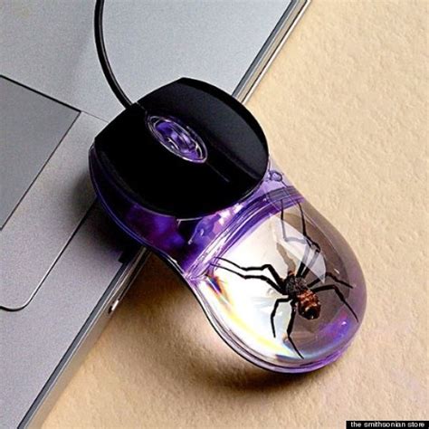 Glow In The Dark Spider Computer Mouse Creepy Awesome Or Both