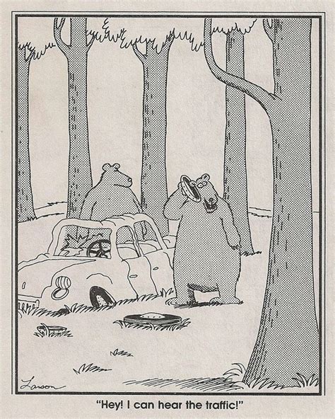 59 Best Cartoons Bears Images On Pinterest Humour The Far Side And Gary Larson Cartoons
