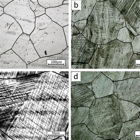 PDF Microstructure Evolution Of An Austenitic Stainless Steel