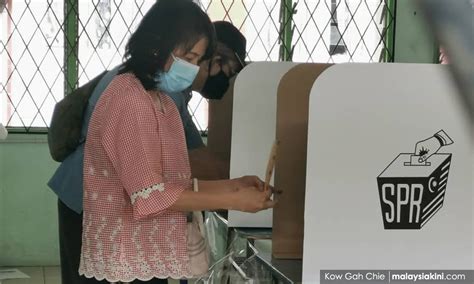 Sapi memang hewan yang unik, karena ia senang berkumpul. PRK Batu Sapi: Tuntutan perlembagaan di tengah wabak
