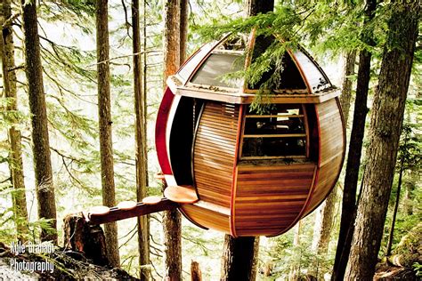 Tranquil Treehouse Cabin In Canada Offers A Getaway Concealed By Nature