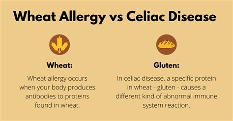 Gluten Intolerance And Celiac Disease How To Heal Your Body Optimoz